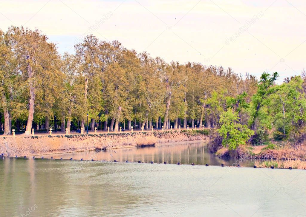 River Tagus at Aranjuez with trees on both sides and the dome of