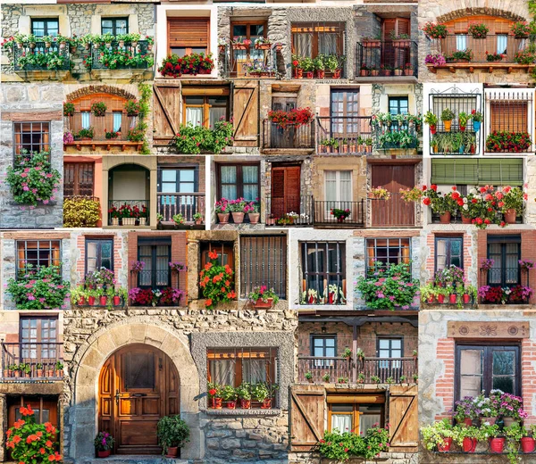 Collage Différentes Fenêtres Avec Des Fleurs Des Pyrénées — Photo