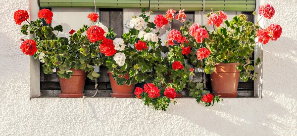 Fachada Casa Antigua Decorada Con Flores Las Ventanas — Foto de Stock