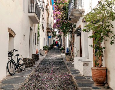 Katalonya 'da Kadavra Sokağı