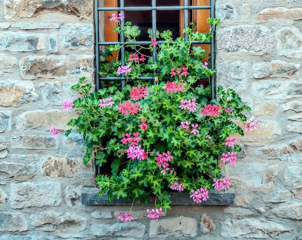 Facade Ancient House Decorated Flowers — Stock Photo, Image