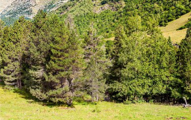 Pireneler 'deki Benasque vadisindeki dağlar