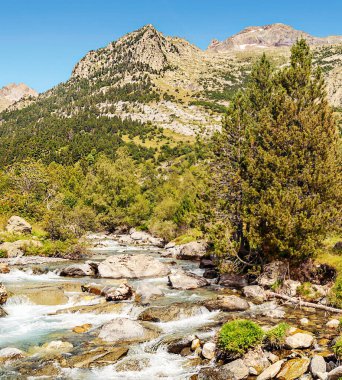 Pirenes dağlarındaki Benasque vadisinde bir nehir.