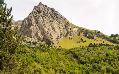 Pirenes dağlarındaki Benasque vadisinde bir nehir.