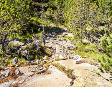 Pireneler 'deki Benasque vadisindeki dağlar