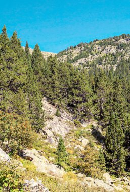 Pireneler 'deki Benasque vadisindeki dağlar