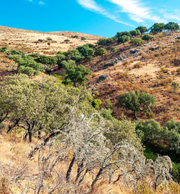 Monfrague 'ın doğal parkındaki dağlar