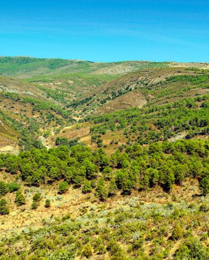 Monfrague 'ın doğal parkındaki dağlar