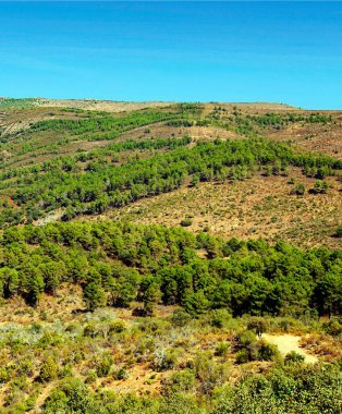 Monfrague 'ın doğal parkındaki dağlar