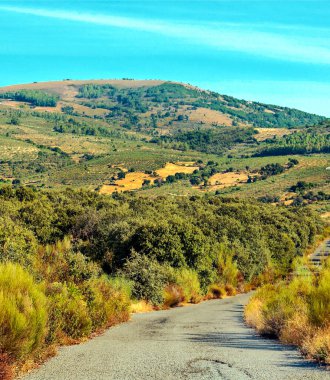 Monfrague 'ın doğal parkındaki dağlar