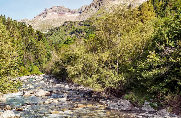 Pirenes dağlarındaki Benasque vadisinde bir nehir.