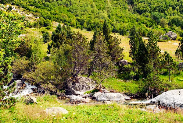 Řeka Údolí Benasque Pyrenejských Horách — Stock fotografie