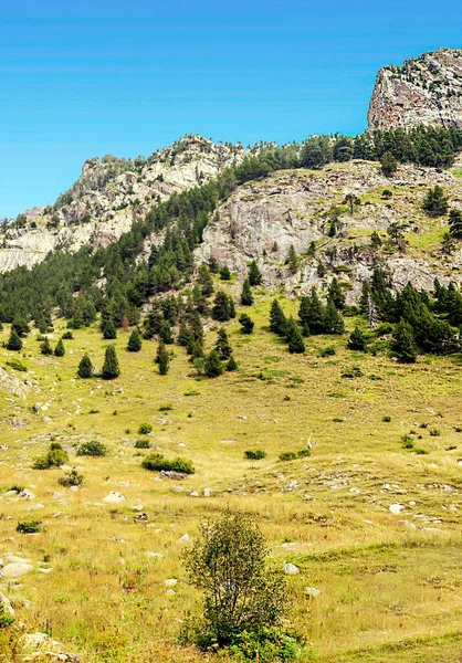 피레네 산맥에 계곡의 — 스톡 사진