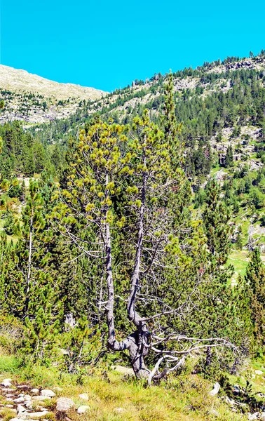 Hory Údolí Benasque Pyrenejích — Stock fotografie