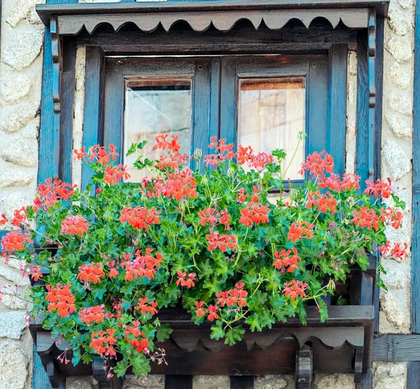 Fenêtre Avec Des Fleurs Sur Façade Une Maison — Photo