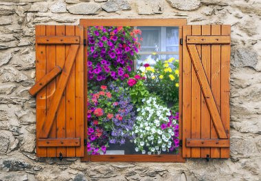 Kenya 'nın çimenlerindeki aslan. Pencereden bakıldığında bu bir bakış açısı..