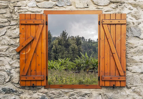 León Hierba Kenia Punto Vista Ventana Fachada —  Fotos de Stock