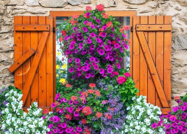 Çiçekler ahşap bir pencere süsledi