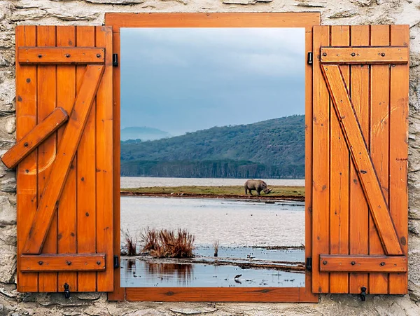 Árboles Cerca Lago Kenia Punto Vista Desde Una Ventana Abierta —  Fotos de Stock