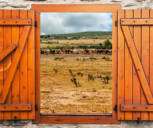 Ландшафт Кенії Похмурий День Його Крапля Від Дерев Яного Вікна — стокове фото