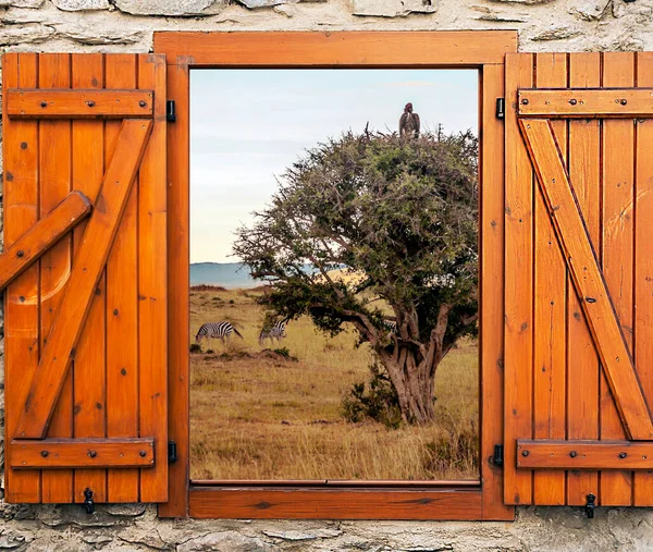 Kenya Nın Bulutlu Bir Günde Manzarası Ahşap Bir Pencerede Toplanmış — Stok fotoğraf