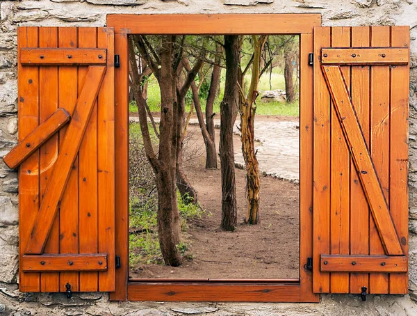 Paisaje Africano Tanzania Día Nublado Punto Vista Desde Ventana —  Fotos de Stock