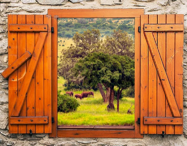 Tanzanya Nın Afrika Manzarası Bulutlu Bir Günde Pencereden Bir Bakış — Stok fotoğraf