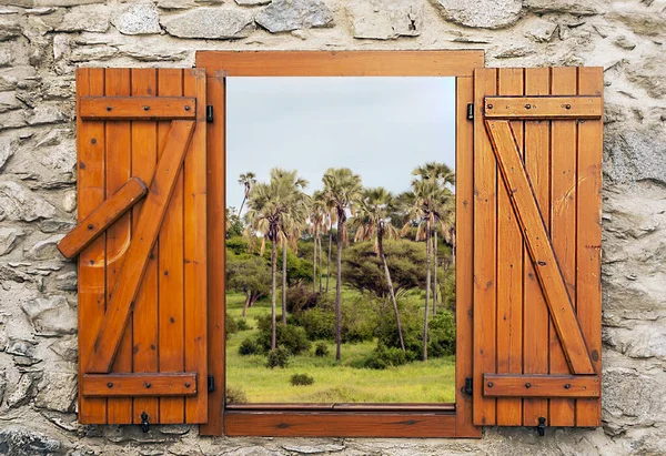 Африканський Краєвид Танзанії Похмурий День Точка Зору Вікна — стокове фото