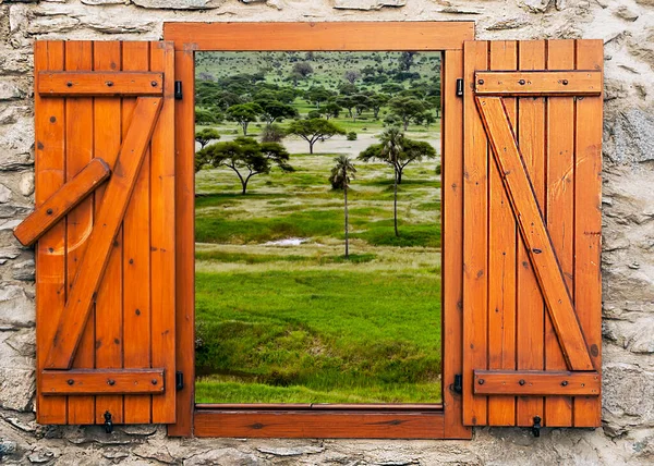 Paisaje Africano Tanzania Día Nublado Punto Vista Desde Ventana —  Fotos de Stock