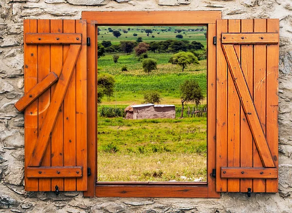 Jirafas Sabana Tanzania Día Soleado Punto Vista Desde Ventana —  Fotos de Stock