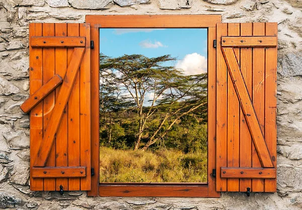 Paisaje Tanzania Día Nublado Punto Competir Desde Una Ventana Madera —  Fotos de Stock