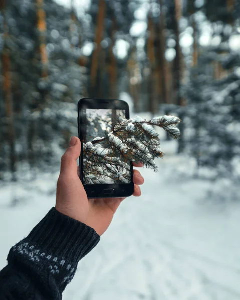 Üç boyutlu teknolojiler sayesinde karla kaplı bir ağaç dalı inanılmaz bir akıllı telefonun ekranından sürünerek çıkıyor.