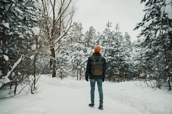 Photographer take picture in forest
