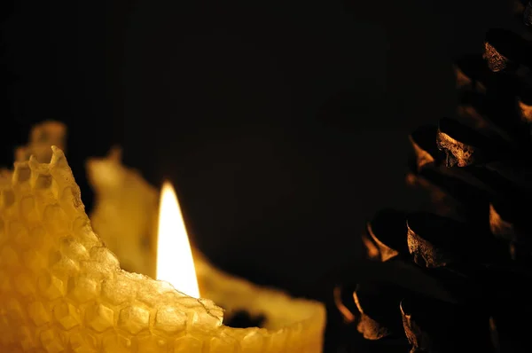 Burning Candle Made Honeycomb Golden Sprayed Large Pine Cone — Stock Photo, Image