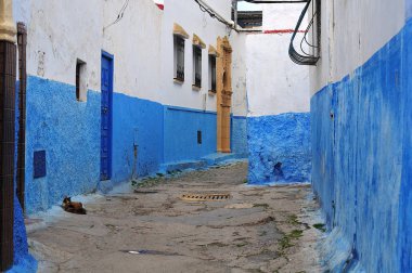 mavi ve beyaz udayas Rabat, Fas casbah ın eski binalar cephe boyalı