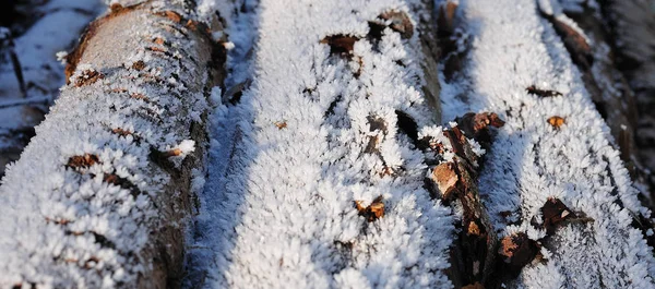 Pilha Madeira Floresta Inverno Coberto Com Gelo Rima Iluminado Com — Fotografia de Stock