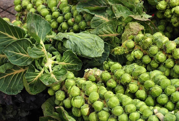 Gambi Con Foglie Cavoletti Bruxelles Alla Bancarella Del Mercato — Foto Stock