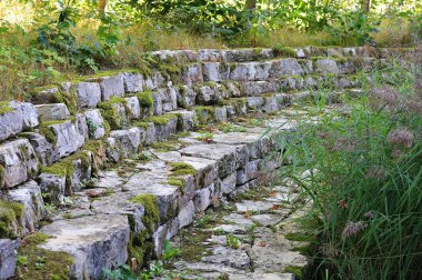 Teraslı kireçtaşı duvar yosun bahçe peyzaj çiçekli reed ile kaplı