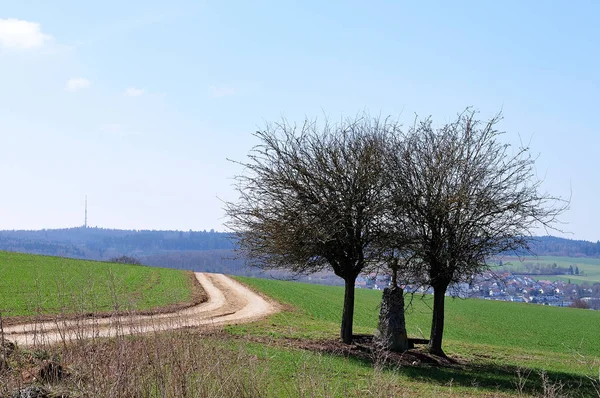Ländliche Landschaft Mit Bildstock Zwischen Blattlosen Bäumen Auf Der Schwäbischen — Stockfoto
