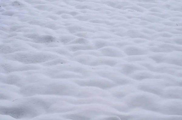 雪で覆われた草原 — ストック写真