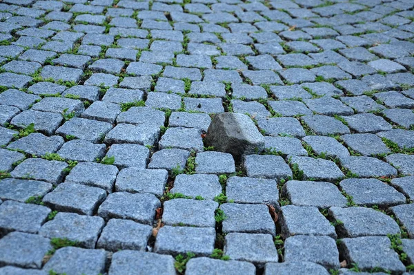 Struikelen steen in bestrating — Stockfoto