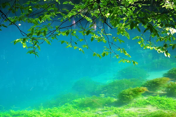 Água azul-turquesa na nascente do rio Blau em Blaubeuren, Alemanha — Fotografia de Stock