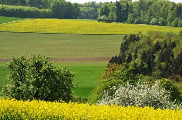 Paisagem de primavera montanhosa em alb swabian, Alemanha — Fotografia de Stock