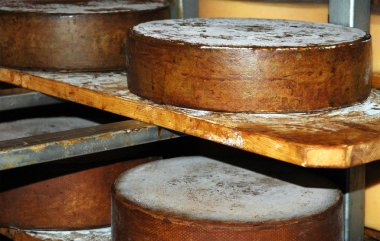 bir süt peynir tekerleklerin ahşap raf