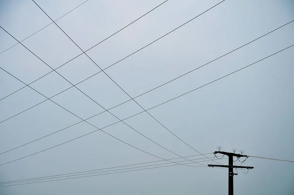 Cables of power line crossing at sky — Stock Photo, Image