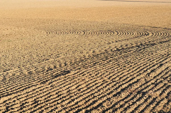 Furrows in field prepared for sowing — Stock Photo, Image