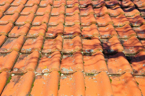 roof grown with moss and lichens