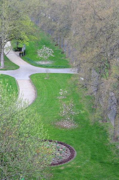 Vista sobre parque com árvores de magnólia floridas — Fotografia de Stock