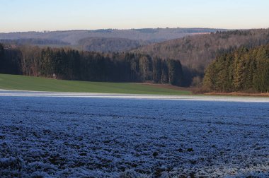 tepelik ormana don kaplı alan üzerinde görünümü