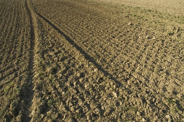 Agricultural field in springtime prepared for seed — Stock Photo, Image